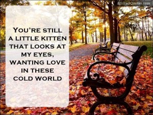 You are still a little kitten that looks at my eyes, wanting love in these cold world.